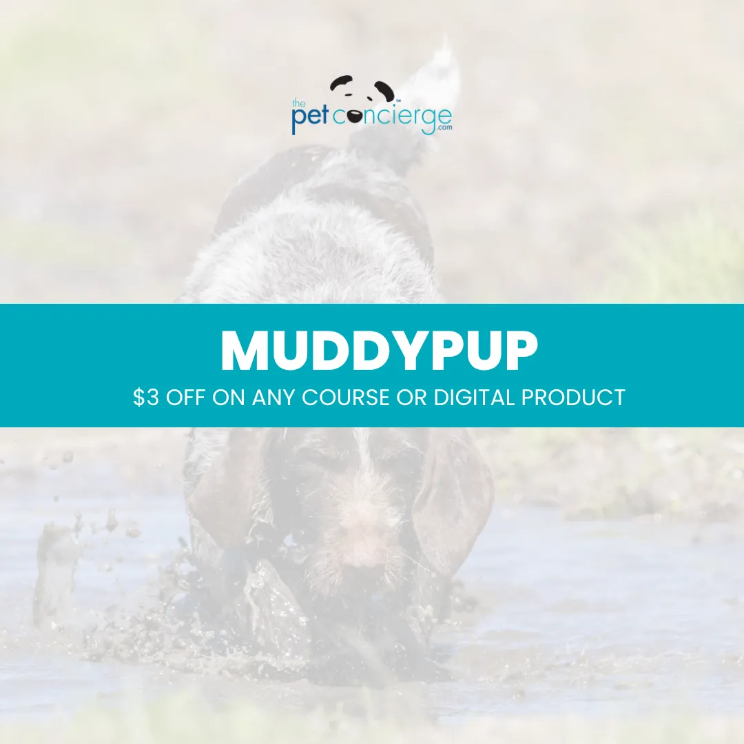 Muddy Dog Day