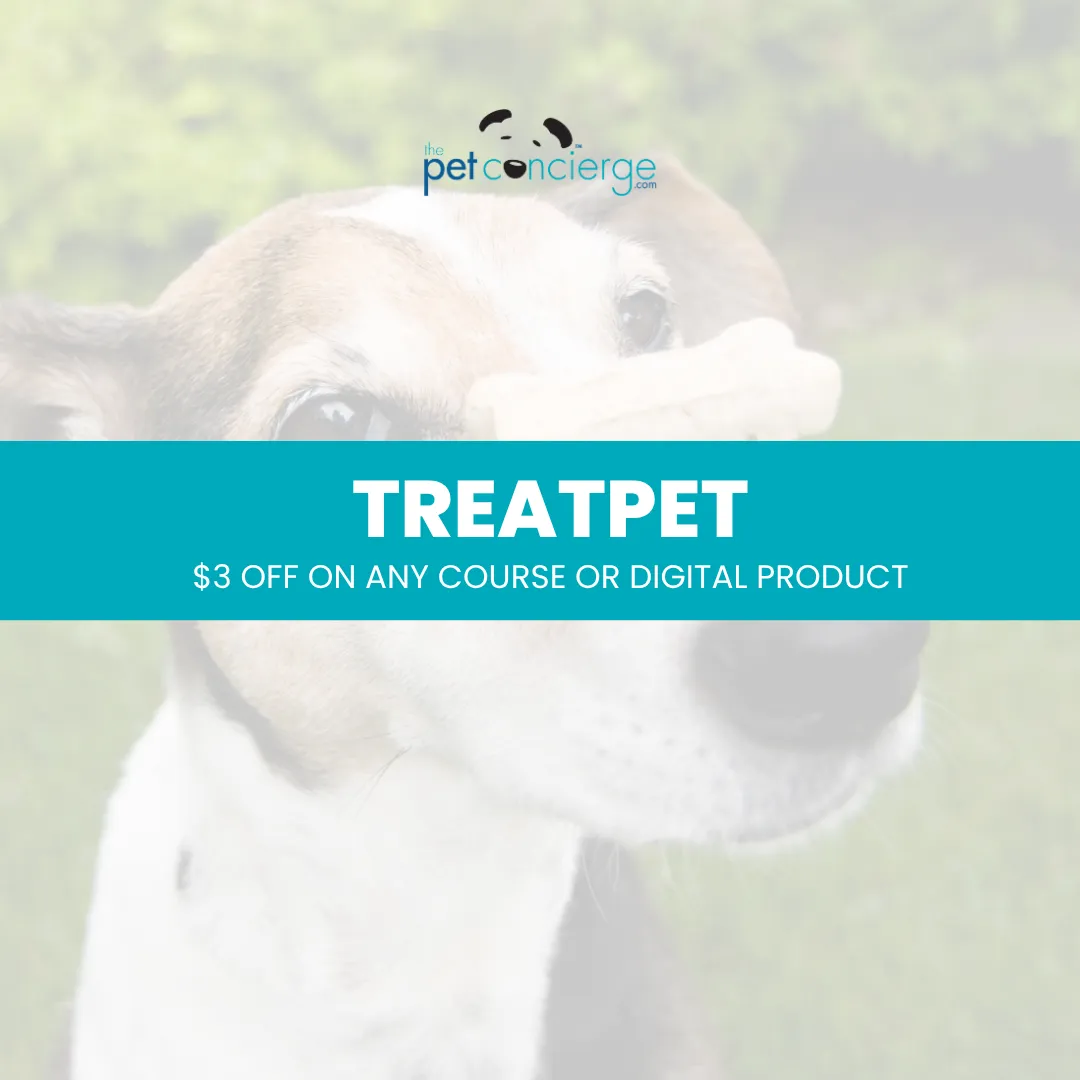 National Treat Your Pet Day