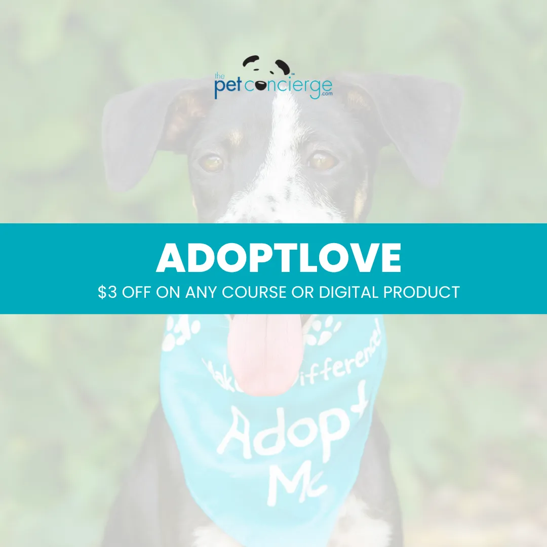 Adopt a Shelter Dog Month