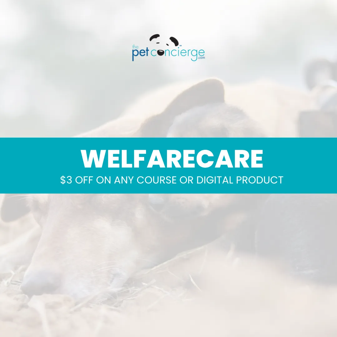 Animal Welfare Week