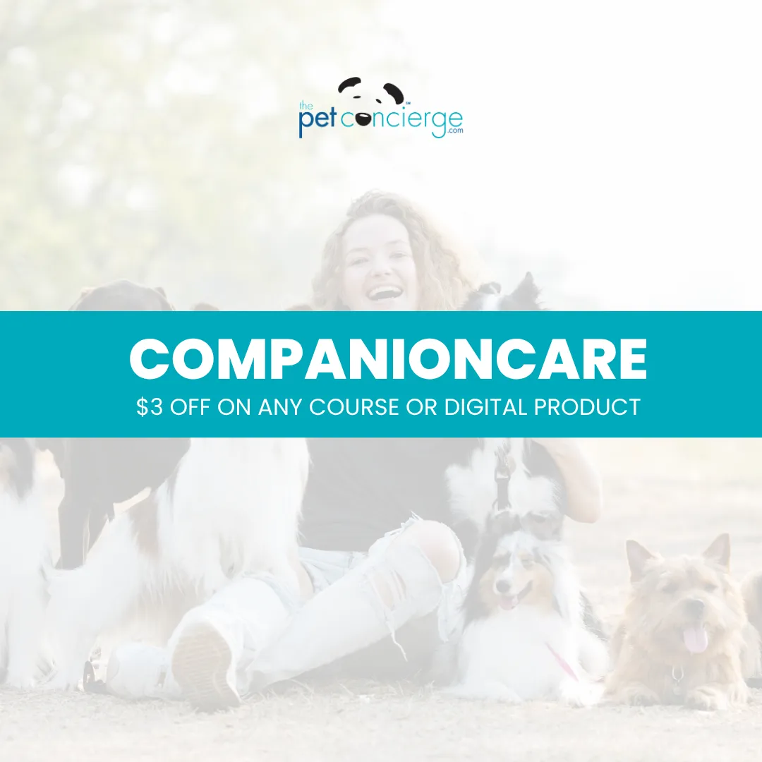 Canine Companion Day
