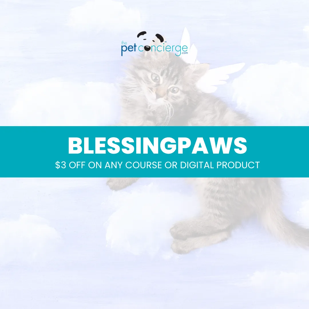 Feast of St. Francis of Assisi / Blessing of the Animals