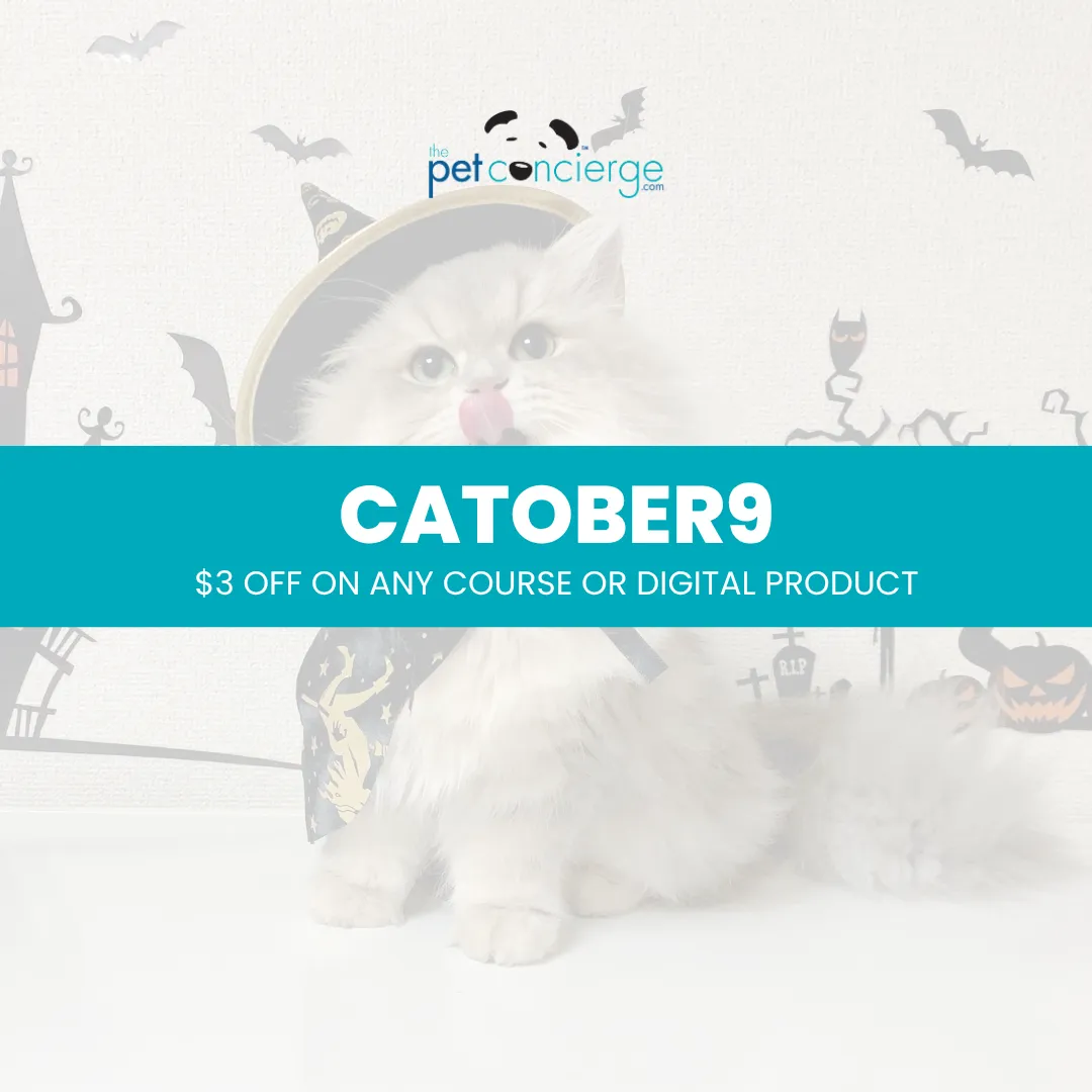 CATober 9th