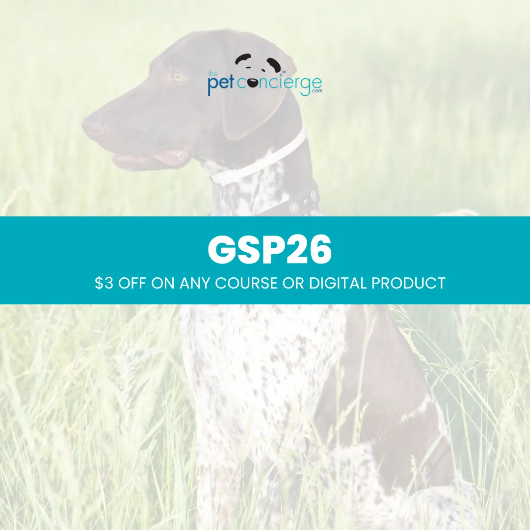 Meet the German Shorthaired Pointer