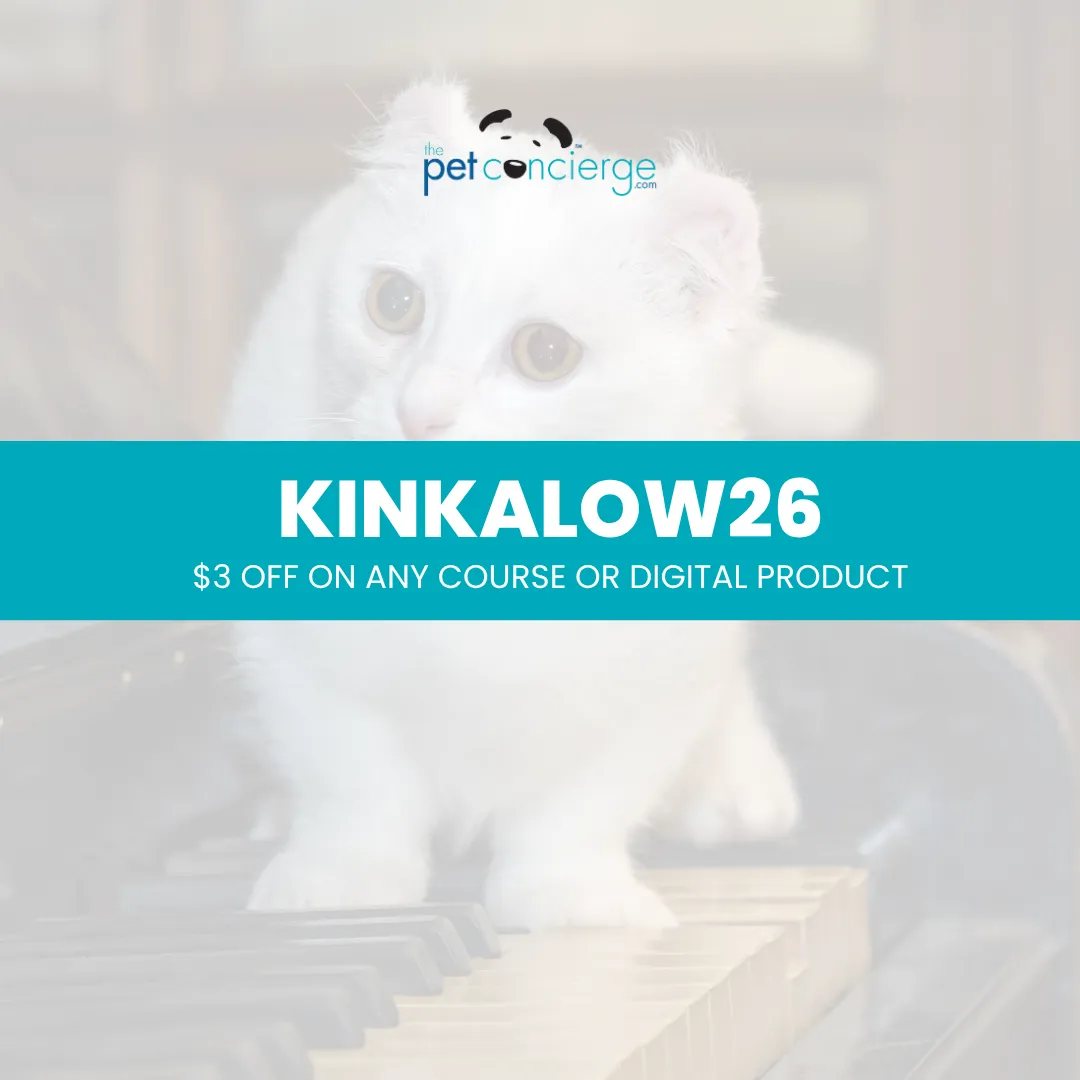 Meet the Kinkalow