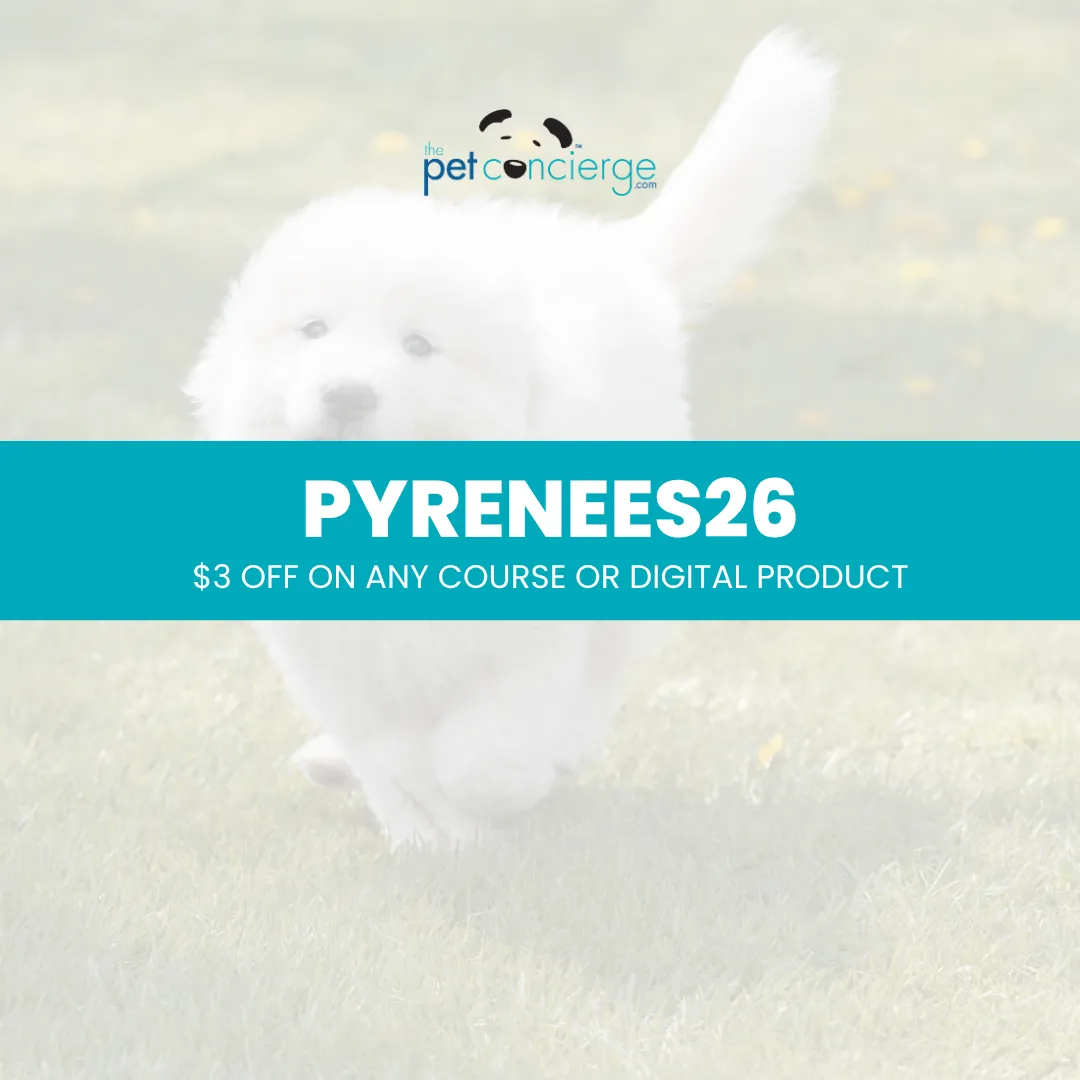 Meet the Great Pyrenees