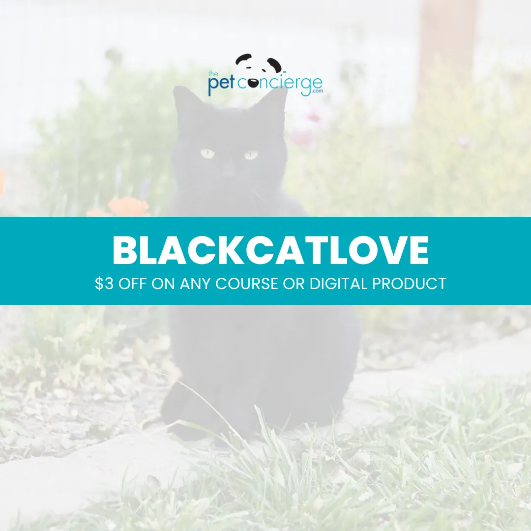 International Black Cat Awareness Month