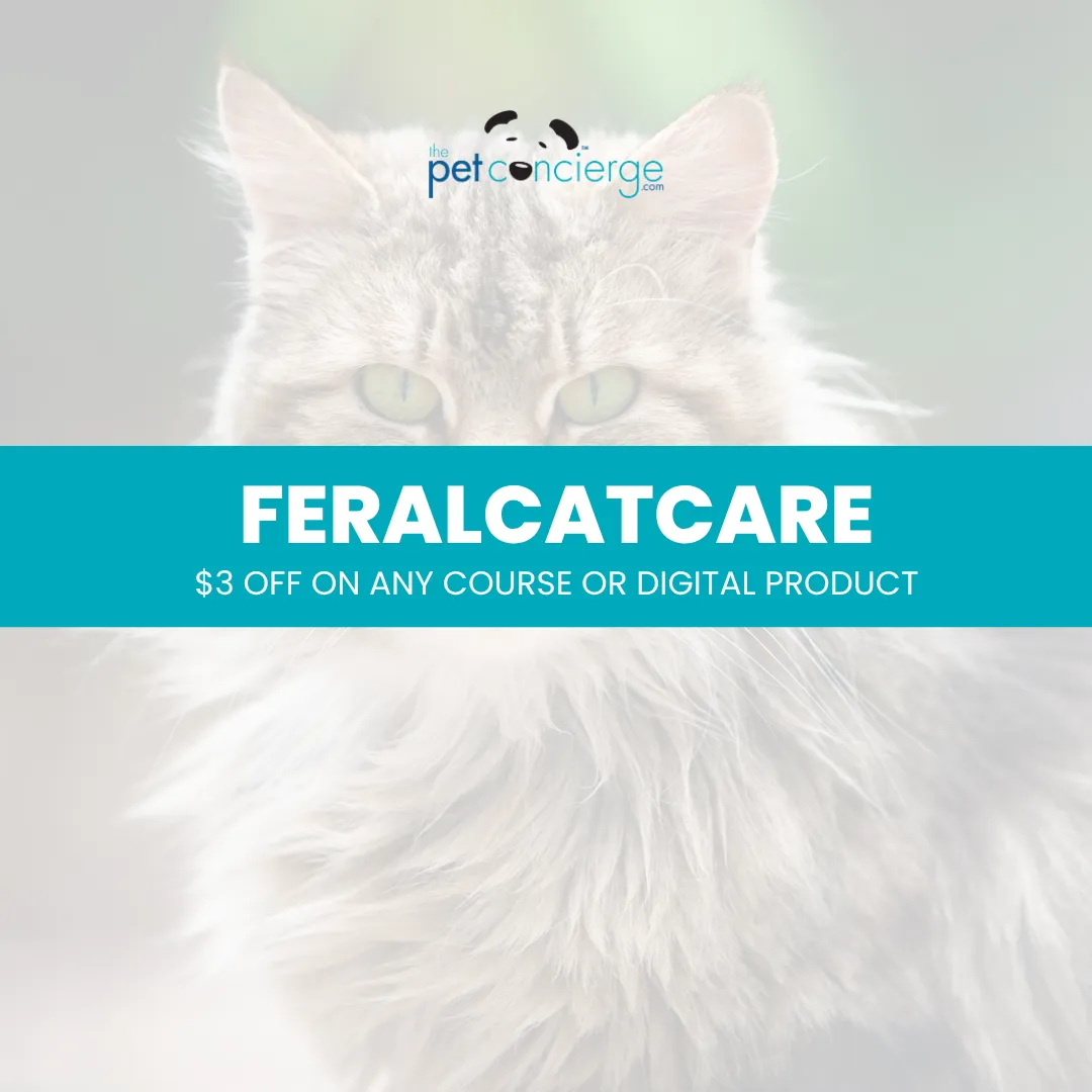 National Feral Cat Day