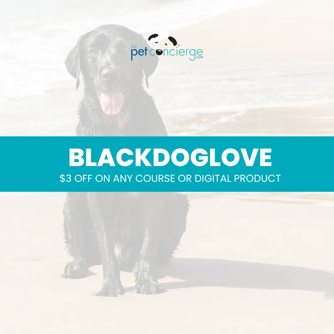 National Black Dog Day