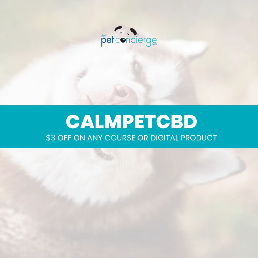 National Pet CBD Month