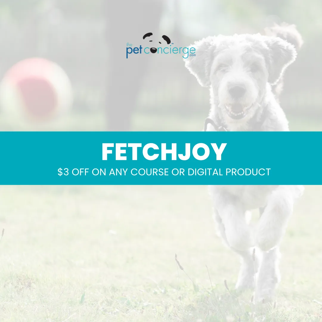 National Fetch Day