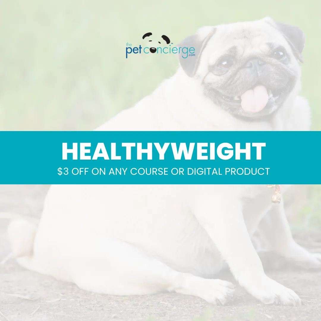 National Pet Obesity Awareness Month