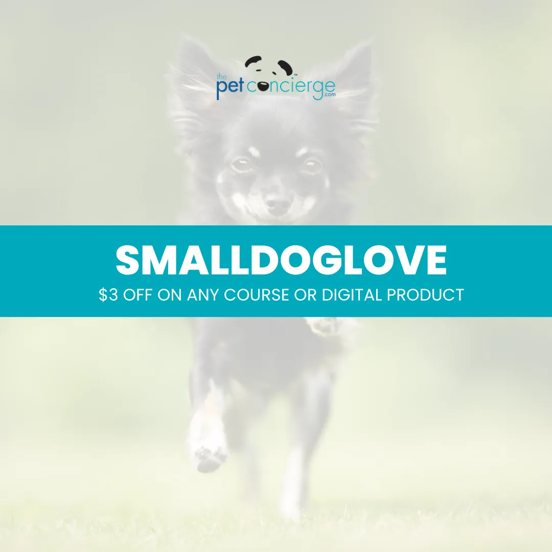 Small Dog Awareness Month