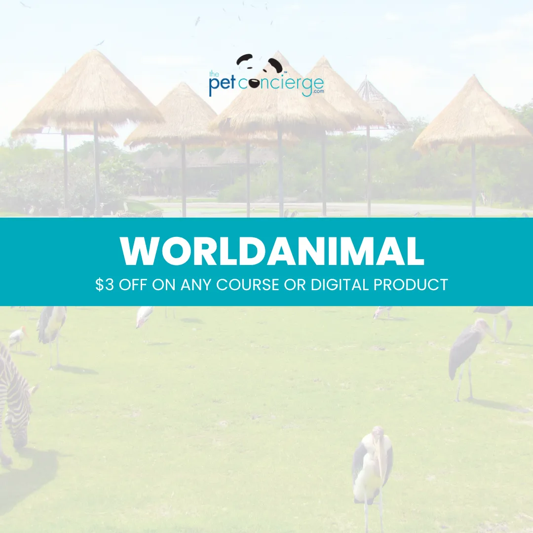 World Animal Day