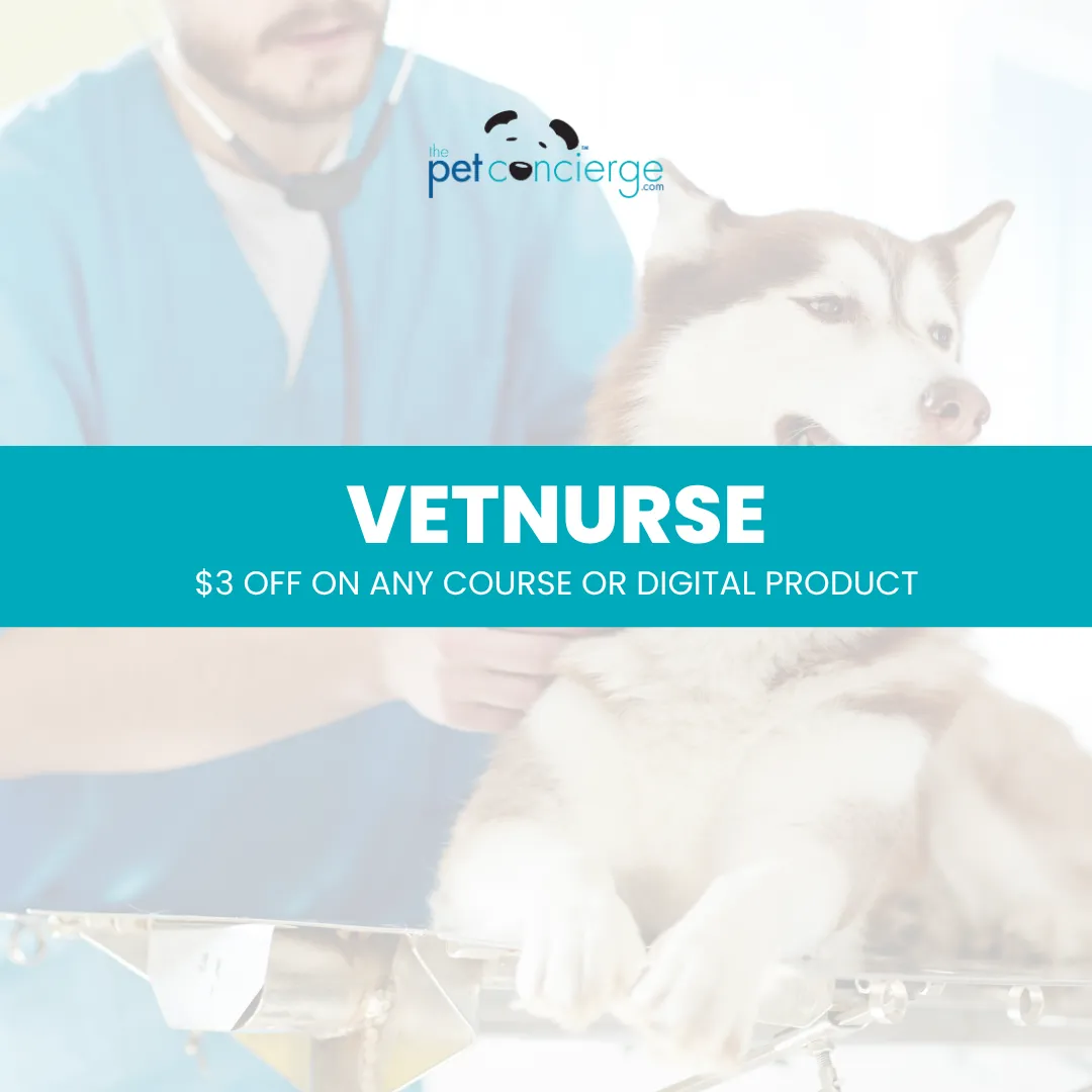 Vet Nurse Day