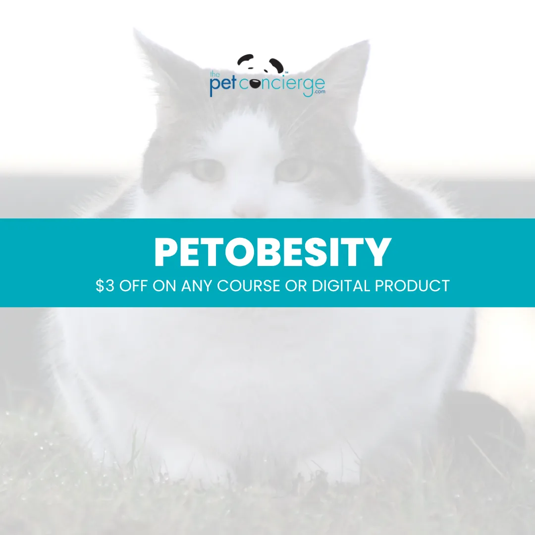 World Pet Obesity Awareness Day