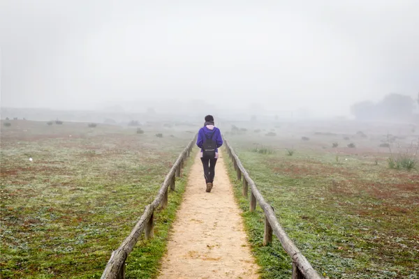You Do Not Need the Whole Path. You Need  the Next Honest Step