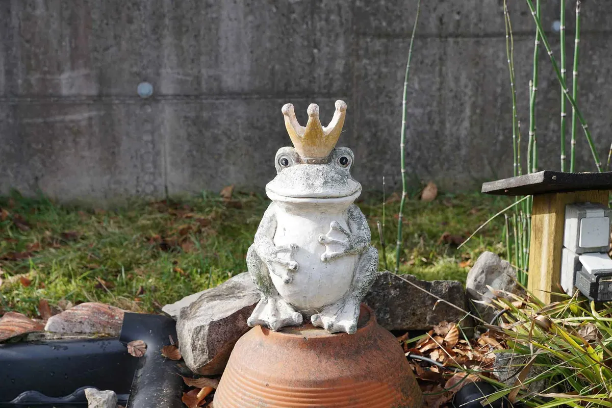 A white frog statue wearing a gold crown in a garden