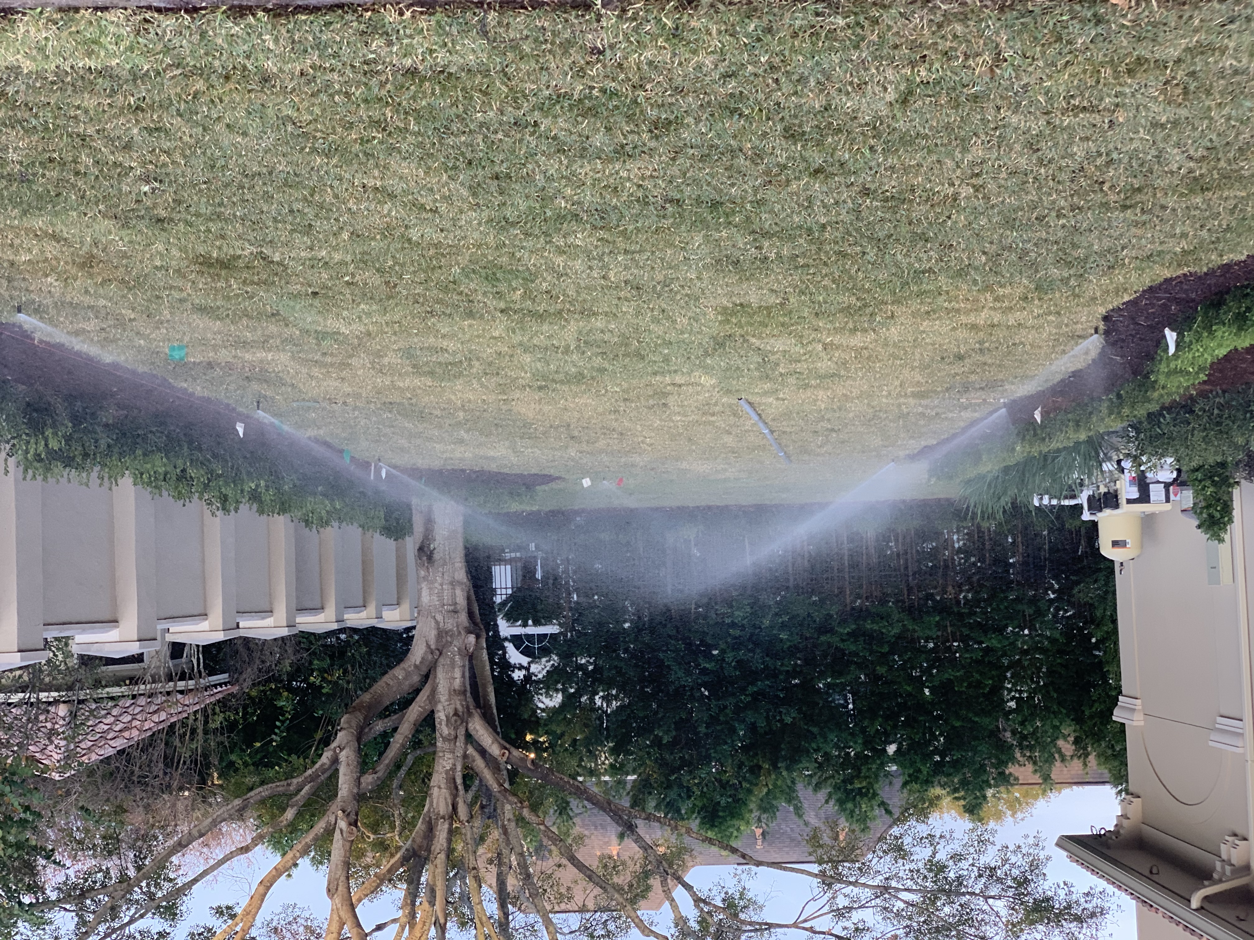 Landscape Design & Installation in 