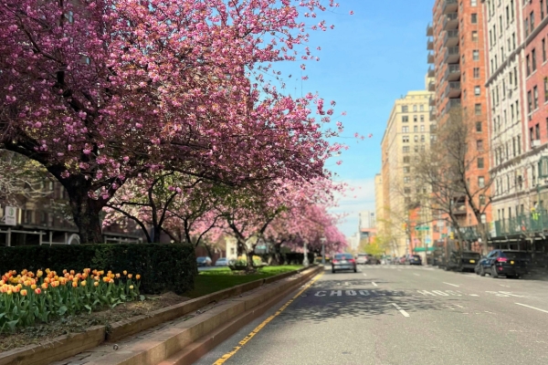 Spring Into Protection: What New York Homeowners and Families Should Review This April