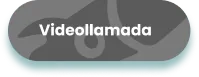 Videollamada