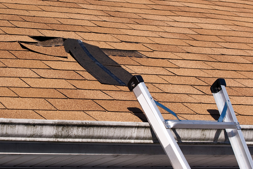 Roof Repair in Campbellsville, KY