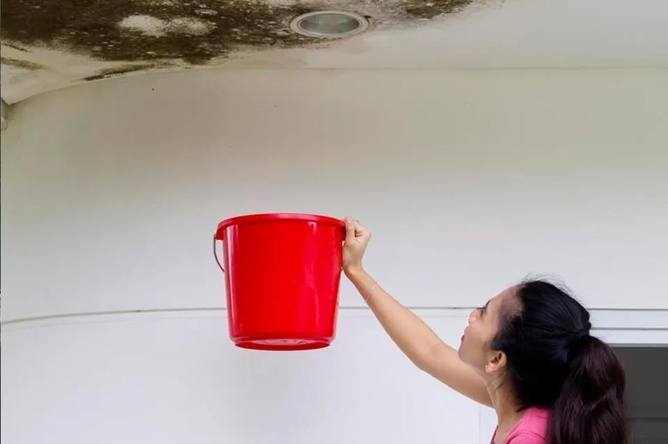  A woman holds a red bucket up to a ceiling with significant black mold growth and water damage. She appears to be catching water from a leak, indicating an active or ongoing moisture problem above the ceiling.