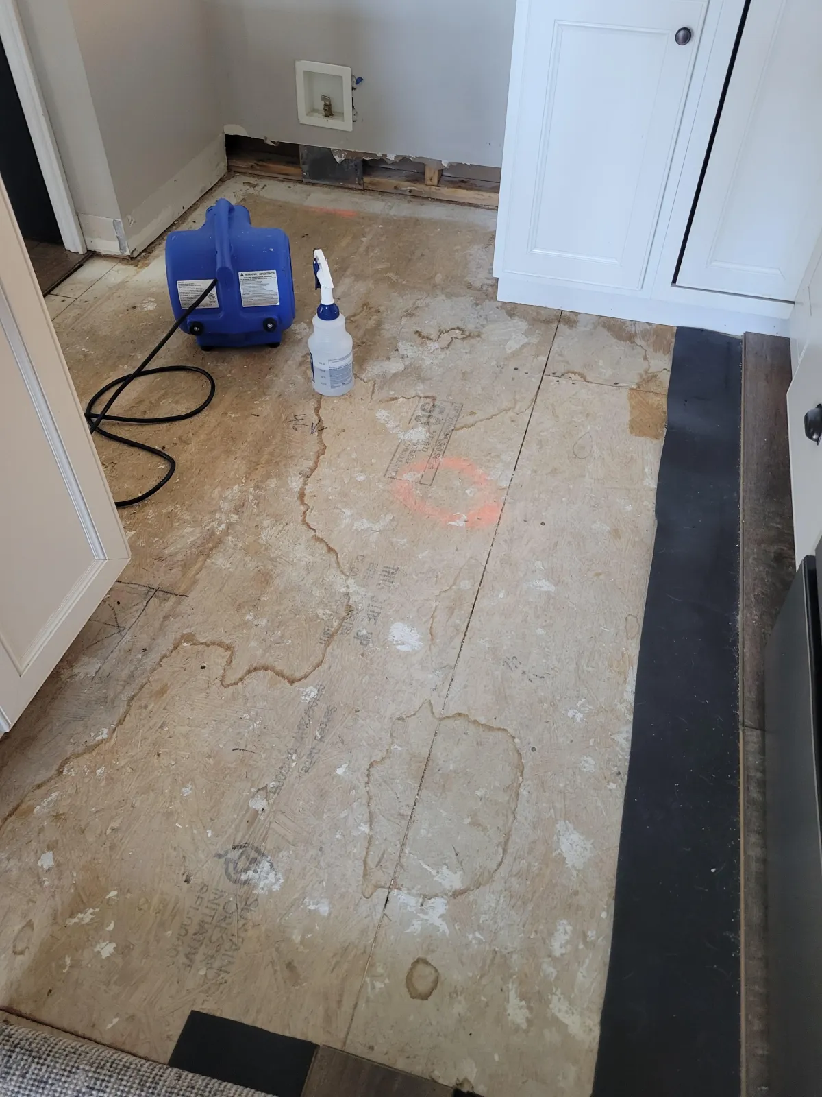 Water Damage Restoration and Mold Remediation in New Albany Ohio