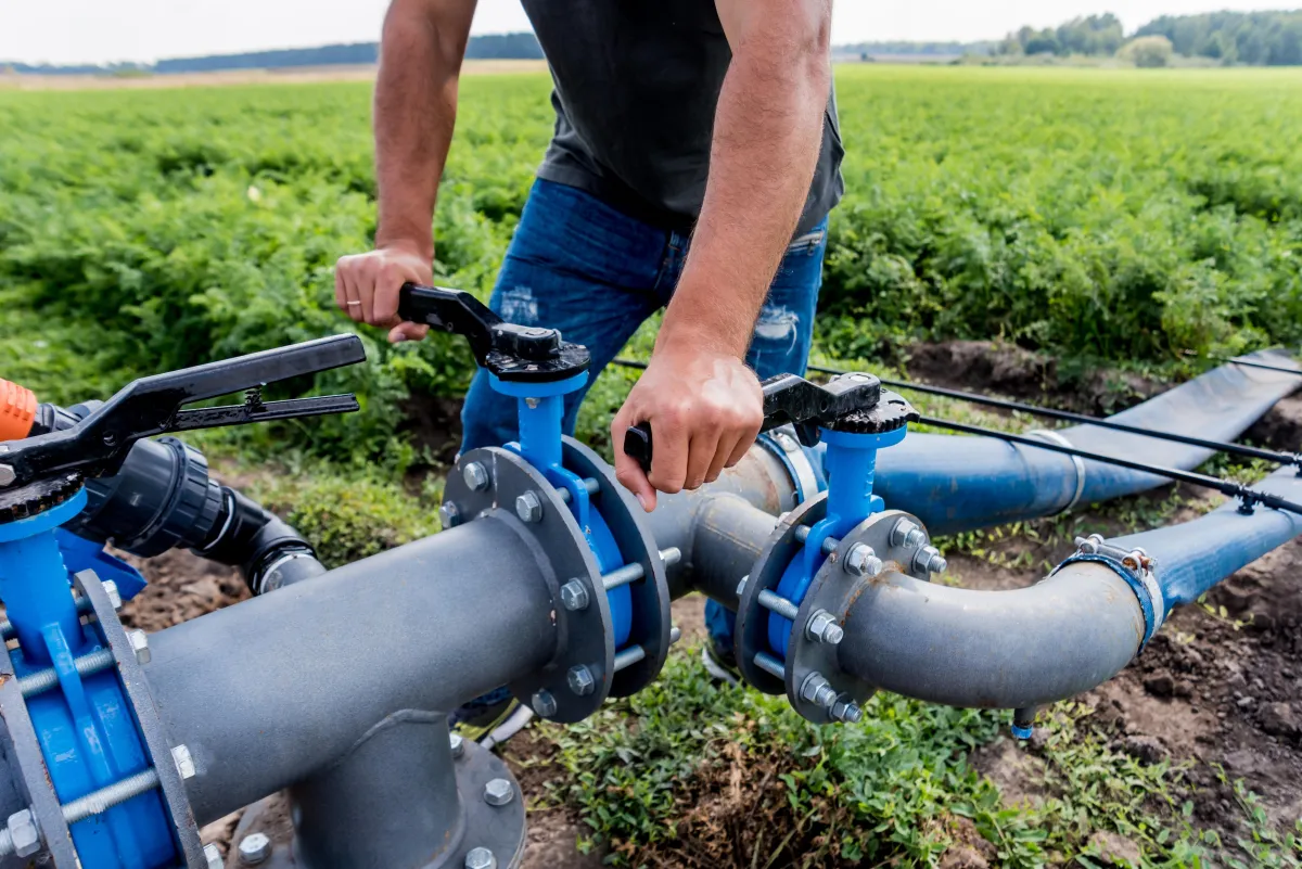 A person operates a large irrigation valve system in a farm field. The setup includes several connected metal and plastic pipes with blue flanges and black handles. The background shows green crops and a distant tree line under a clear sky.