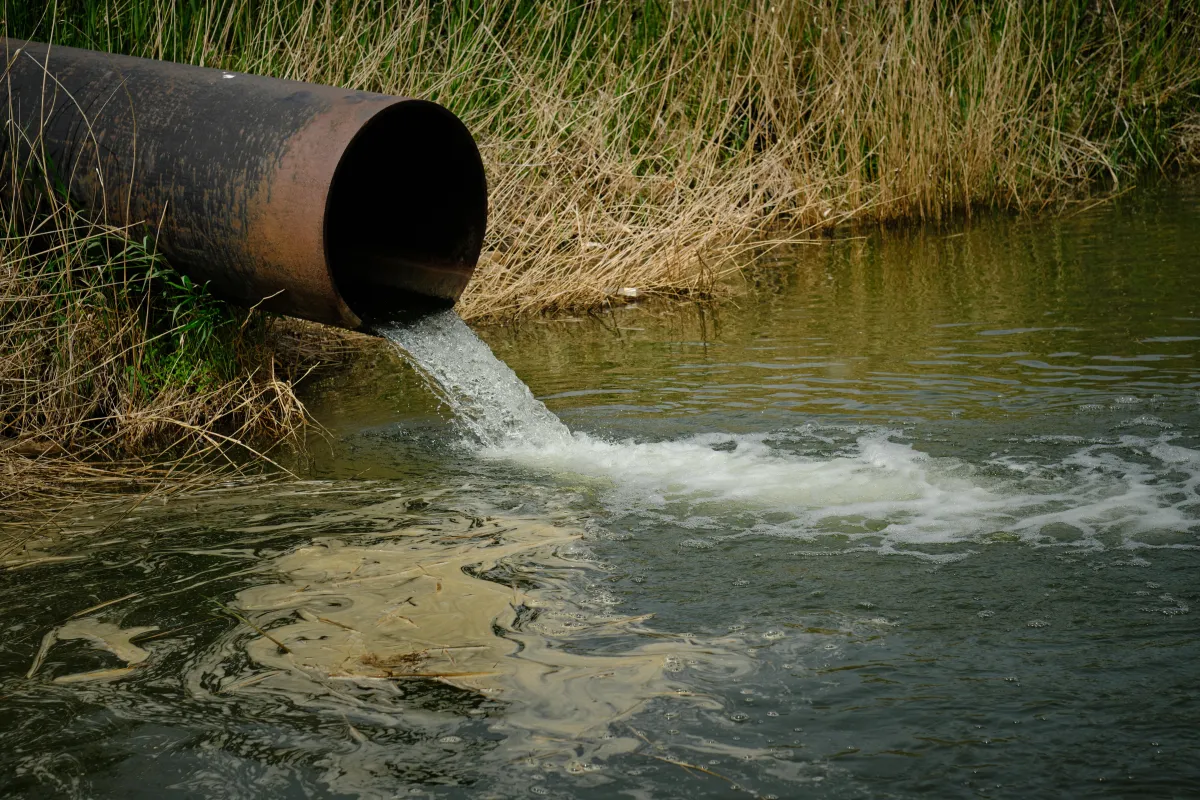 A large industrial pipe discharging cloudy water into a natural body of water surrounded by tall dry grass. The scene suggests runoff or potential pollution entering a stream, river, or wetland area