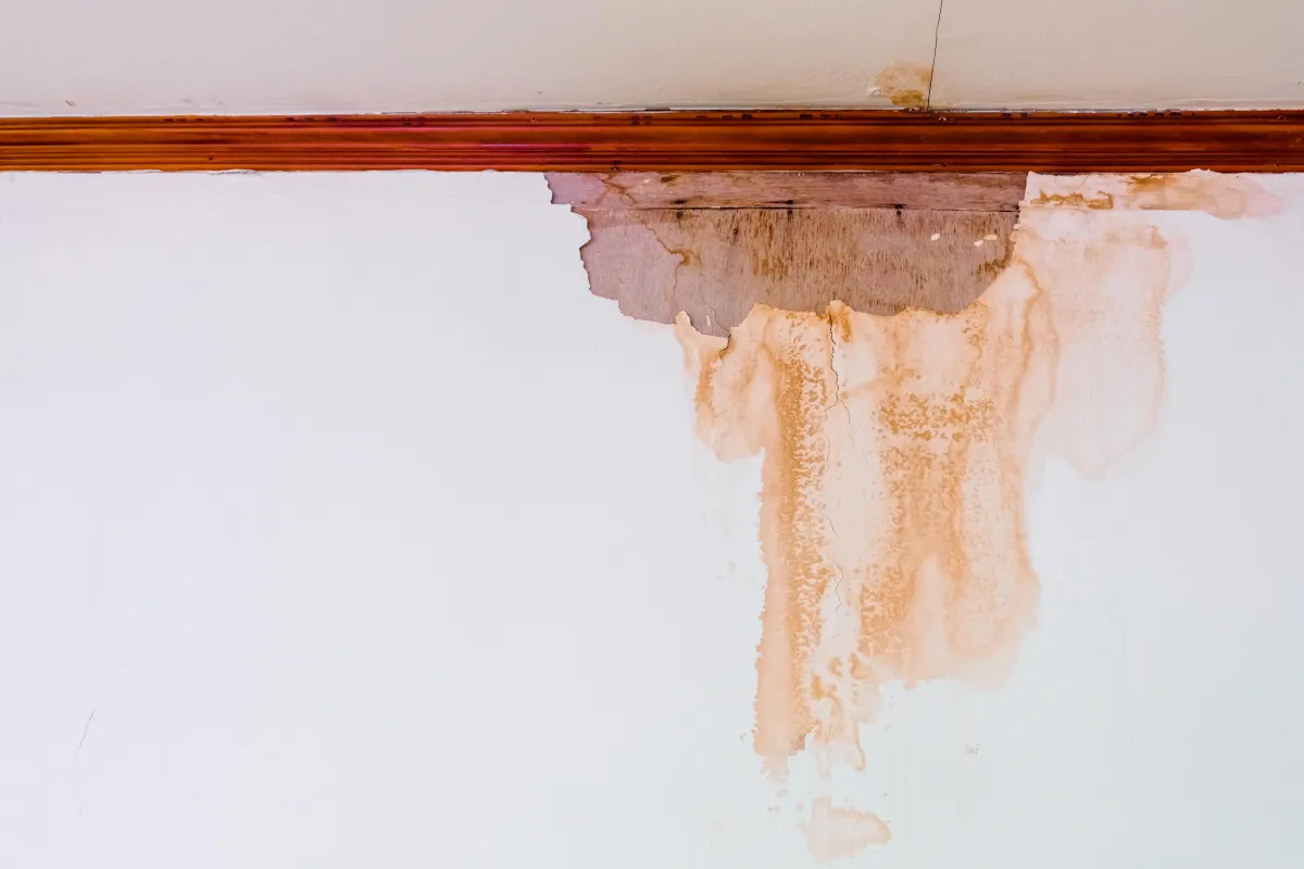 A white interior wall with severe water damage and brown stains beneath a wooden trim near the ceiling. The stains appear to be from a roof or pipe leak, showing vertical streaks of moisture and discoloration running down the wall.