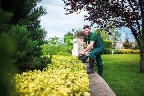 Lush green lawn with well-designed garden beds and vibrant flowers, showcasing expert landscaping work.