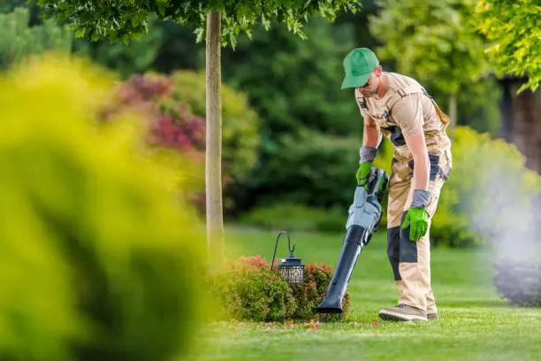 Lawn care service fertilizing grass for optimal growth