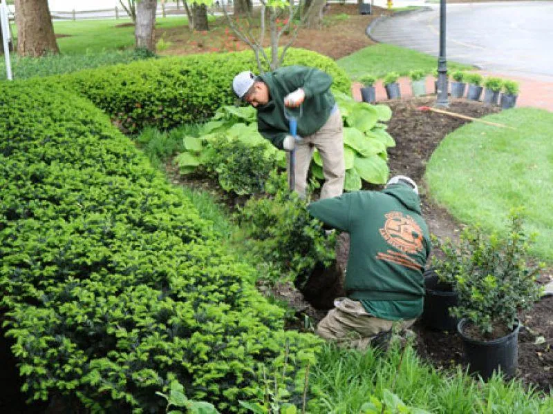 Garden bed prepared for new plants after the removal of old vegetation