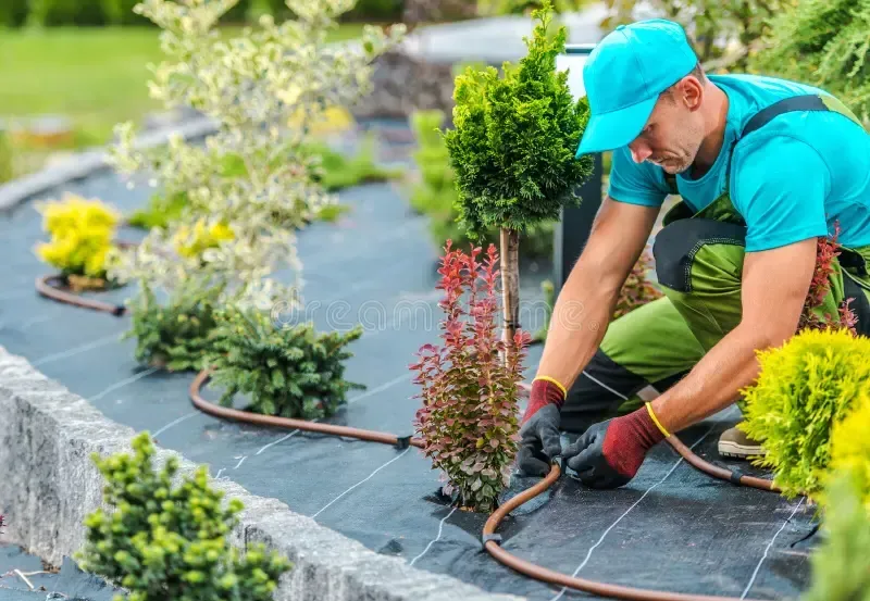 Lawn and garden care service maintaining a healthy, green lawn