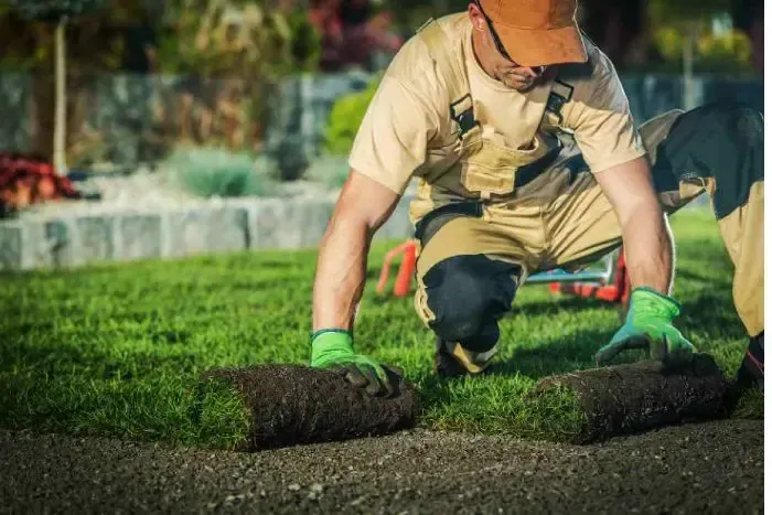 Expert gardener planting new flowers in a well-prepared garden bed, showcasing professional planting services.
