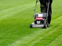 Gardener conducting lawn maintenance tasks to keep grass healthy and vibrant.