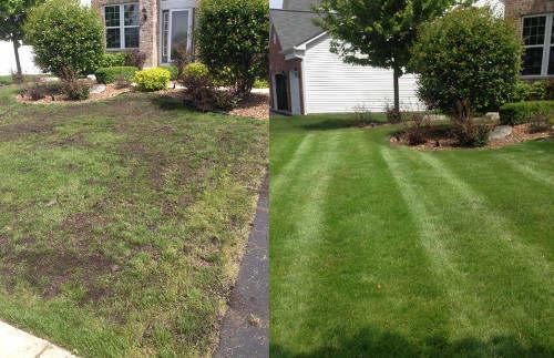 Lawn care experts performing routine maintenance for a well-groomed yard.