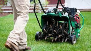 Aerated lawn showing improved soil and grass condition