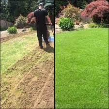 Professional lawn care technician performing aeration on a grassy area