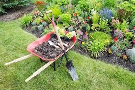 Maintained garden bed with vibrant flowers and neatly arranged plants
