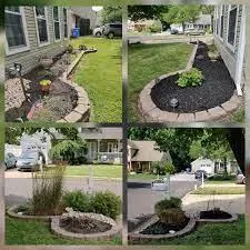 Before and after images of garden bed maintenance showing improved plant health