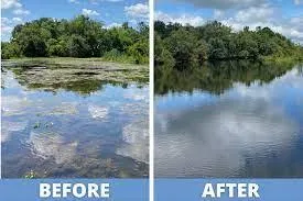 Before and after images of vegetation control showing cleared land