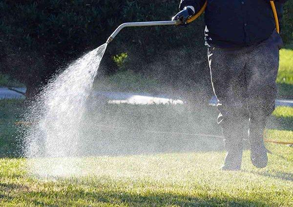 Vegetation control service restoring order to overgrown garden areas