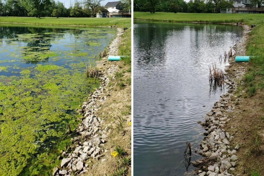 Before and after images of vegetation control showing cleared land