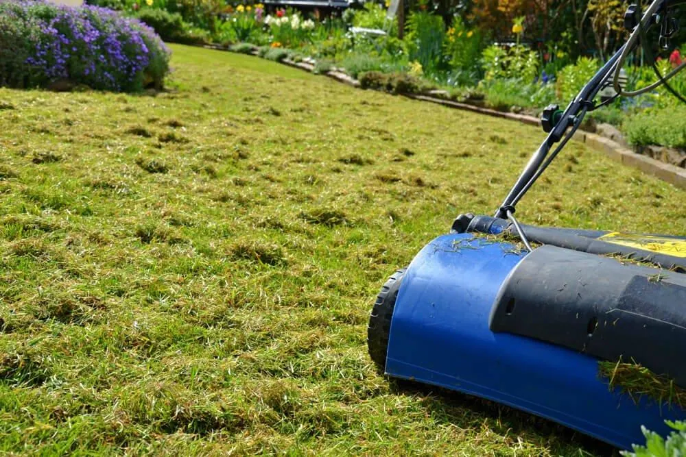 Detailed view of a power rake removing debris from a lawn surfac