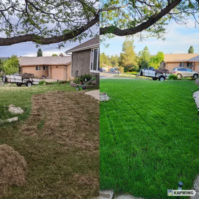 Before and after images showing the results of power raking on a lawn