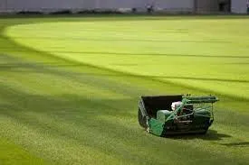 Power rake equipment preparing a lawn for fertilization and seeding