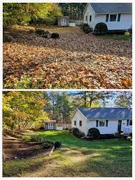 Before and after images of a spring clean-up showing a refreshed yard