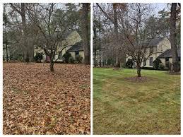 Before and after images of a spring clean-up showing a refreshed yard